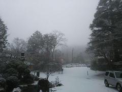 �z���}�����r�c�̍����ʐ^���������ł�!�ǂȂ����ڕ���I