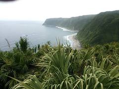 �����Ƙb��̈ꐅ��ł����A�ȉ���RK�L�����Q�l�ɂ���Ƃ悩�낤���Ǝv���܂��B