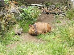 ���ׂĂ������Ă��Ă���ł��������x������B�Ȃ��Ȃ�΁A�v�l�̓��x����������B 