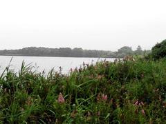 7��11���i�؁j�@�ߑO11���@�V�����J�w�@�A�N���X���[���ɂā@�����Y�{���c�����݊X��������ł�!