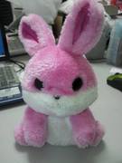 �������������ɐ����ė��܂����B���T���A��t�͔M��!