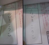 �V�D�Q�P�s���I���F���[�p�������A��