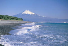 �V�D�Q�P�s���I��:���m�F�ł���....�s���I���i�ׁA�������و��������ł���100���ɂȂ��������ł��B