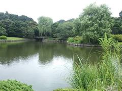 911�́u�O���f�B�I���v�ƌĂ΂ꂽCIA�d���������B